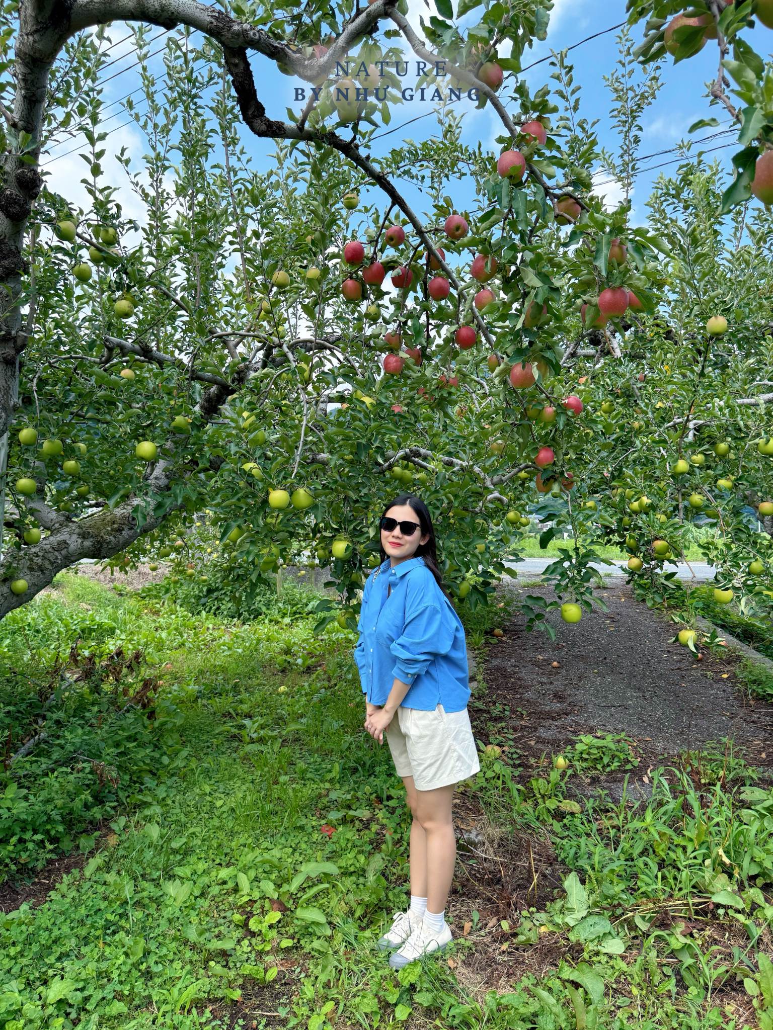 Hai tao tai Kawakami 5