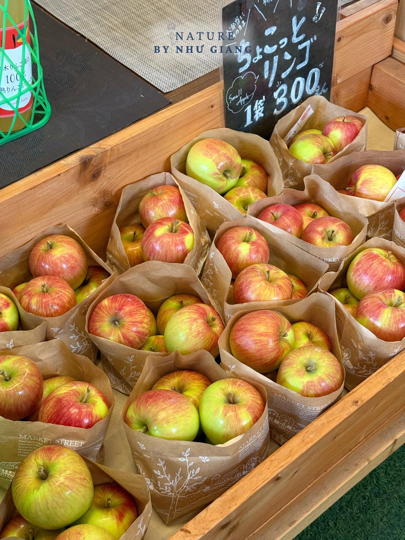 Hai tao tai Suzuki Ringoen 11