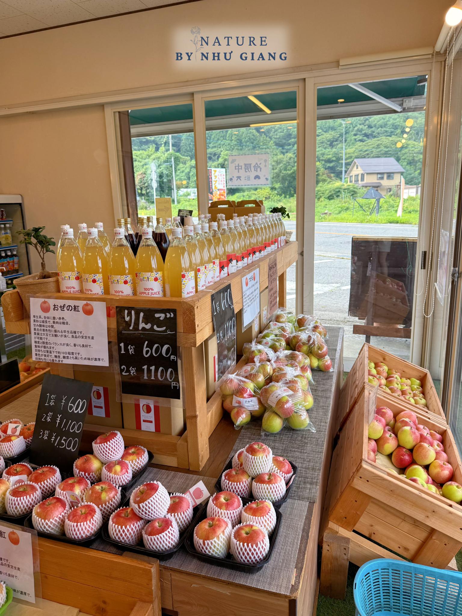 Hai tao tai Suzuki Ringoen 12