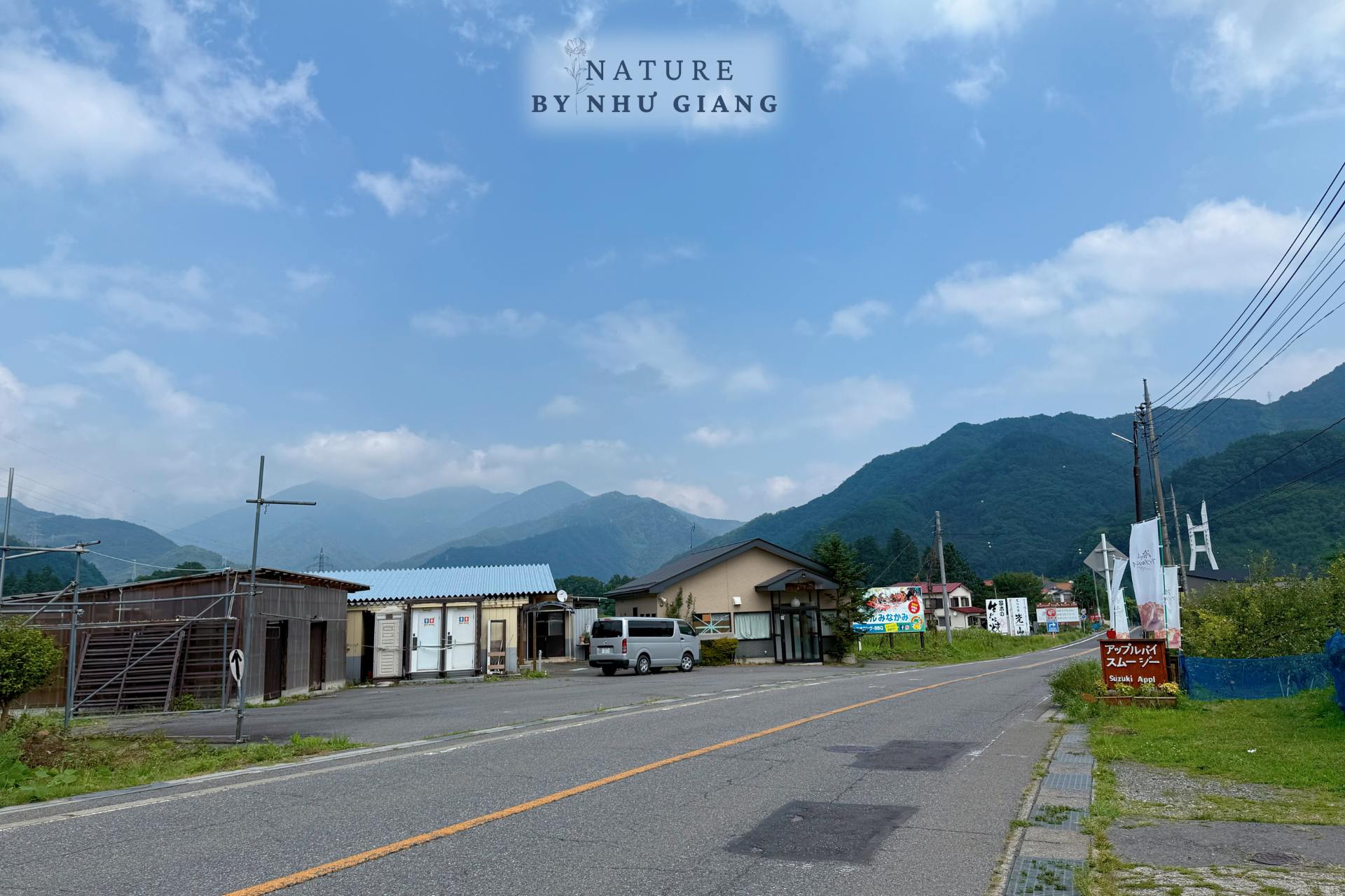 Hai tao tai Suzuki Ringoen 15