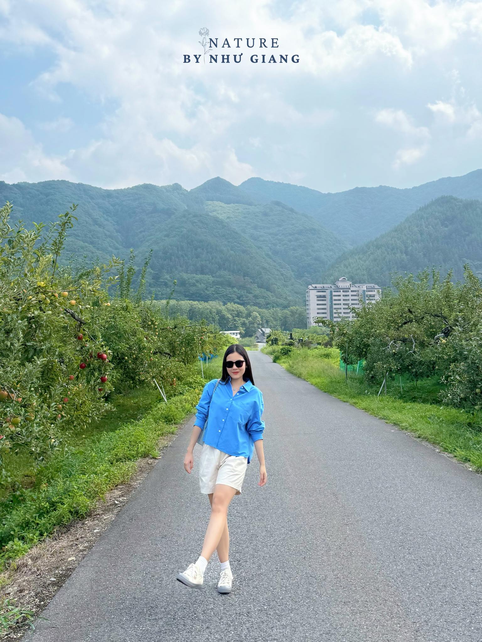 Hai tao tai Suzuki Ringoen 3