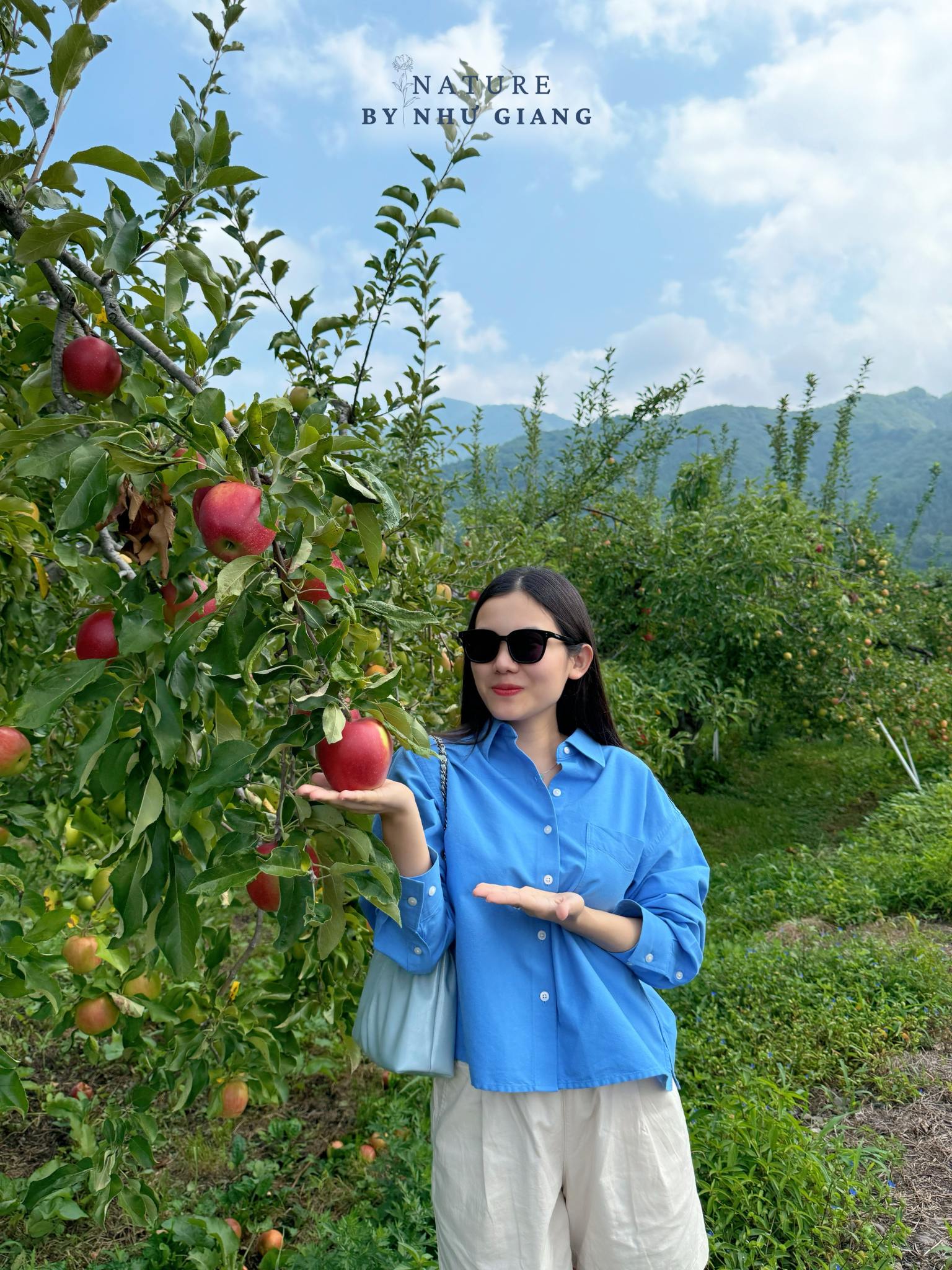 Hai tao tai Suzuki Ringoen 4