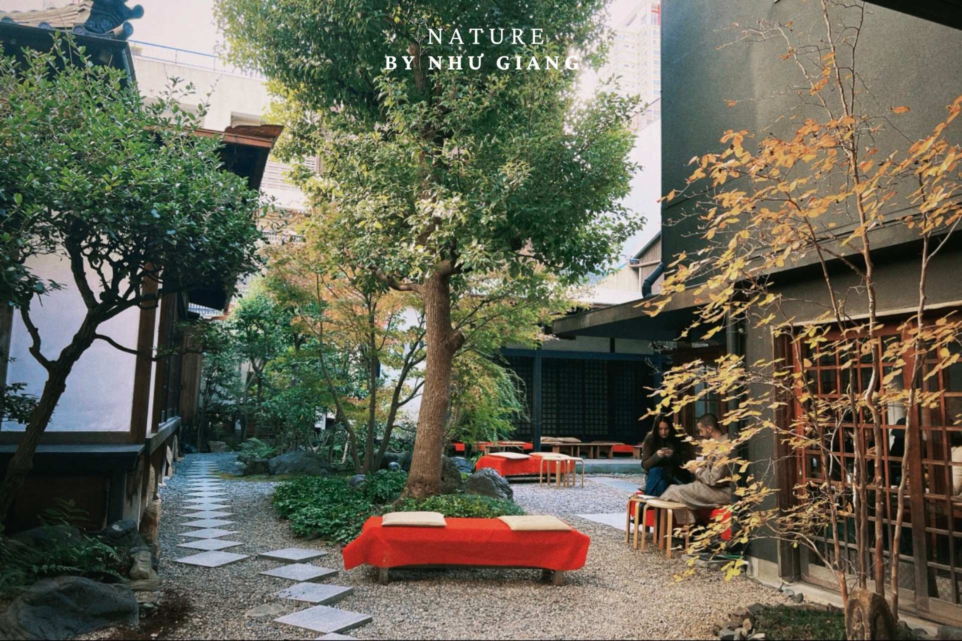 Temple Cafe Chaniwa 16 compressed