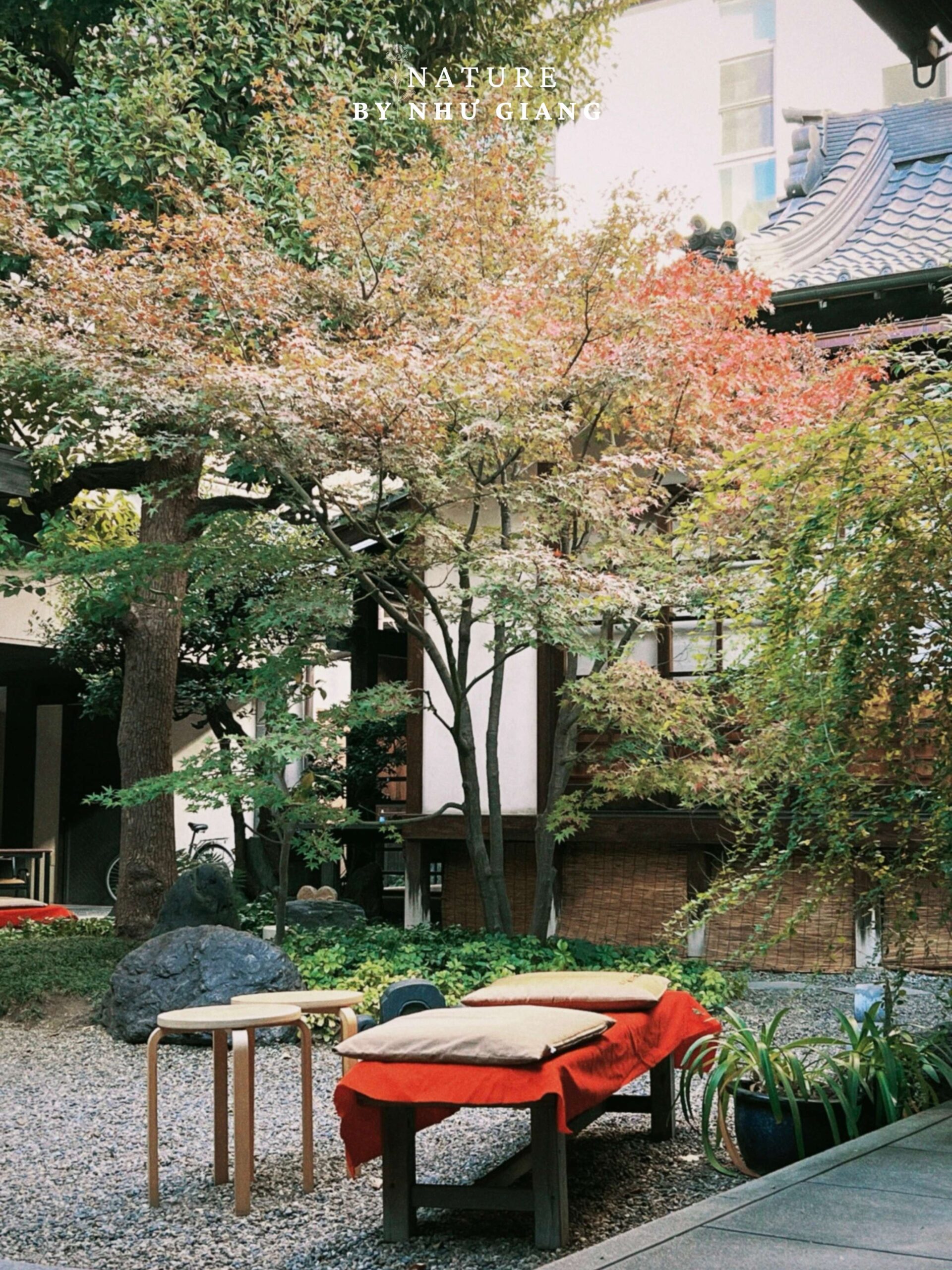 Temple Cafe Chaniwa 7 scaled