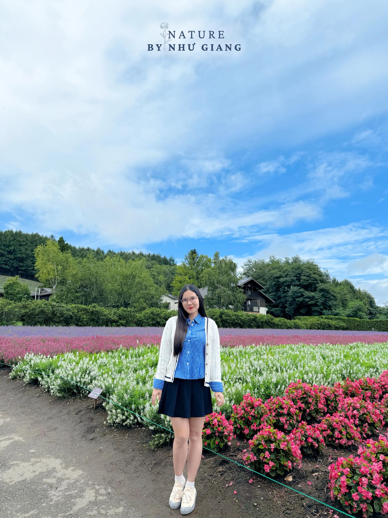 Khám phá các cánh đồng hoa rực rỡ ở Hokkaido 5 Canh dong hoa Hokkaido 15