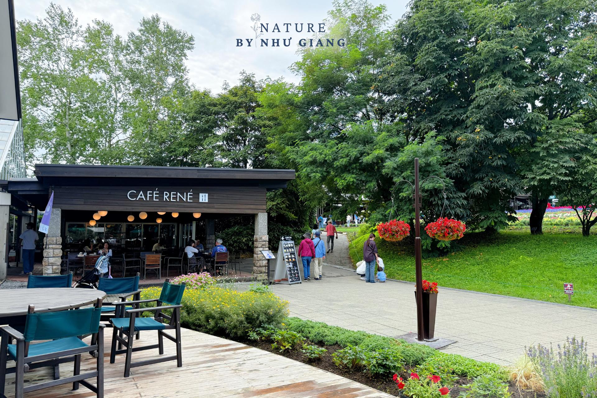 Khám phá các cánh đồng hoa rực rỡ ở Hokkaido 14 Canh dong hoa Hokkaido 27