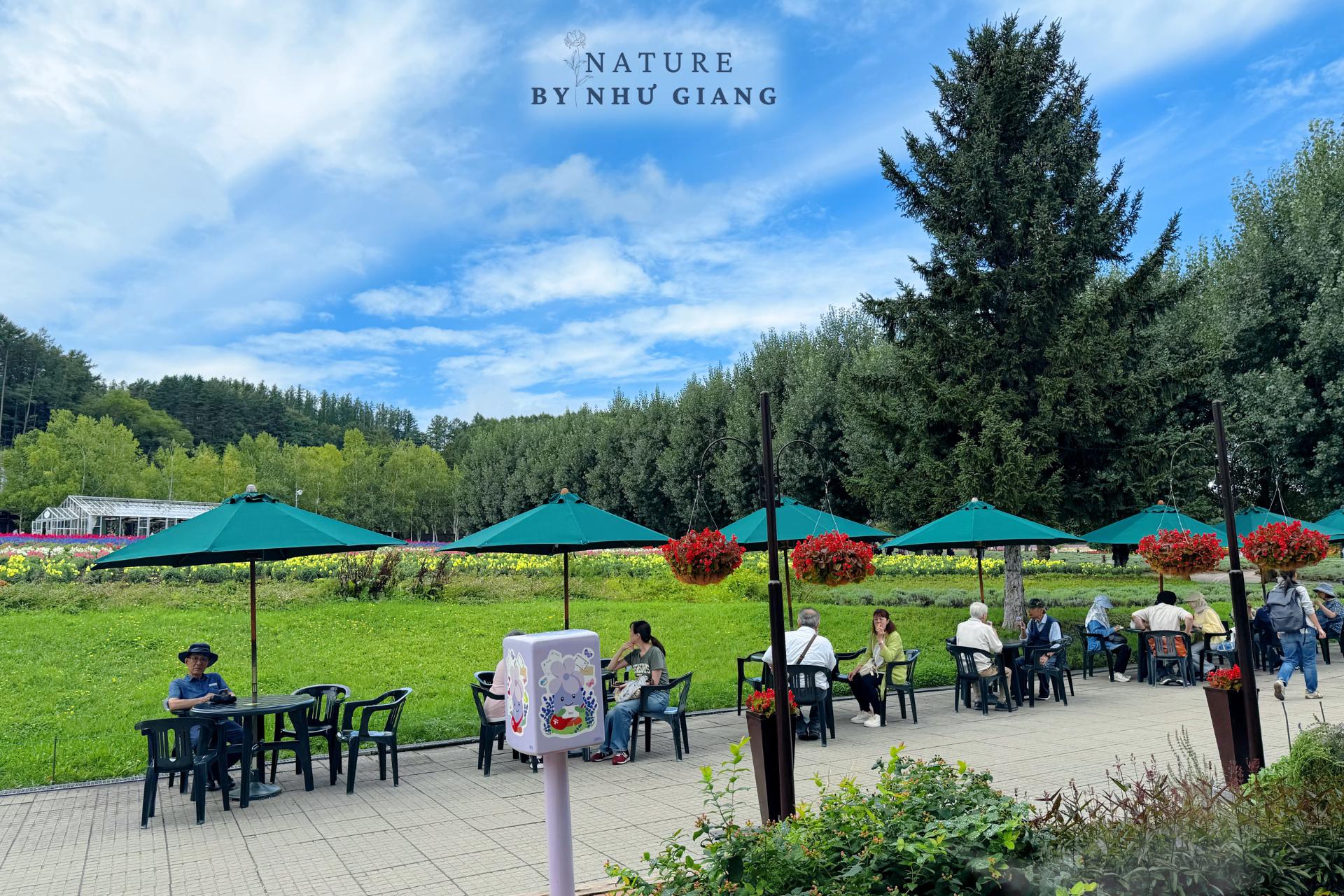 Khám phá các cánh đồng hoa rực rỡ ở Hokkaido 15 Canh dong hoa Hokkaido 30