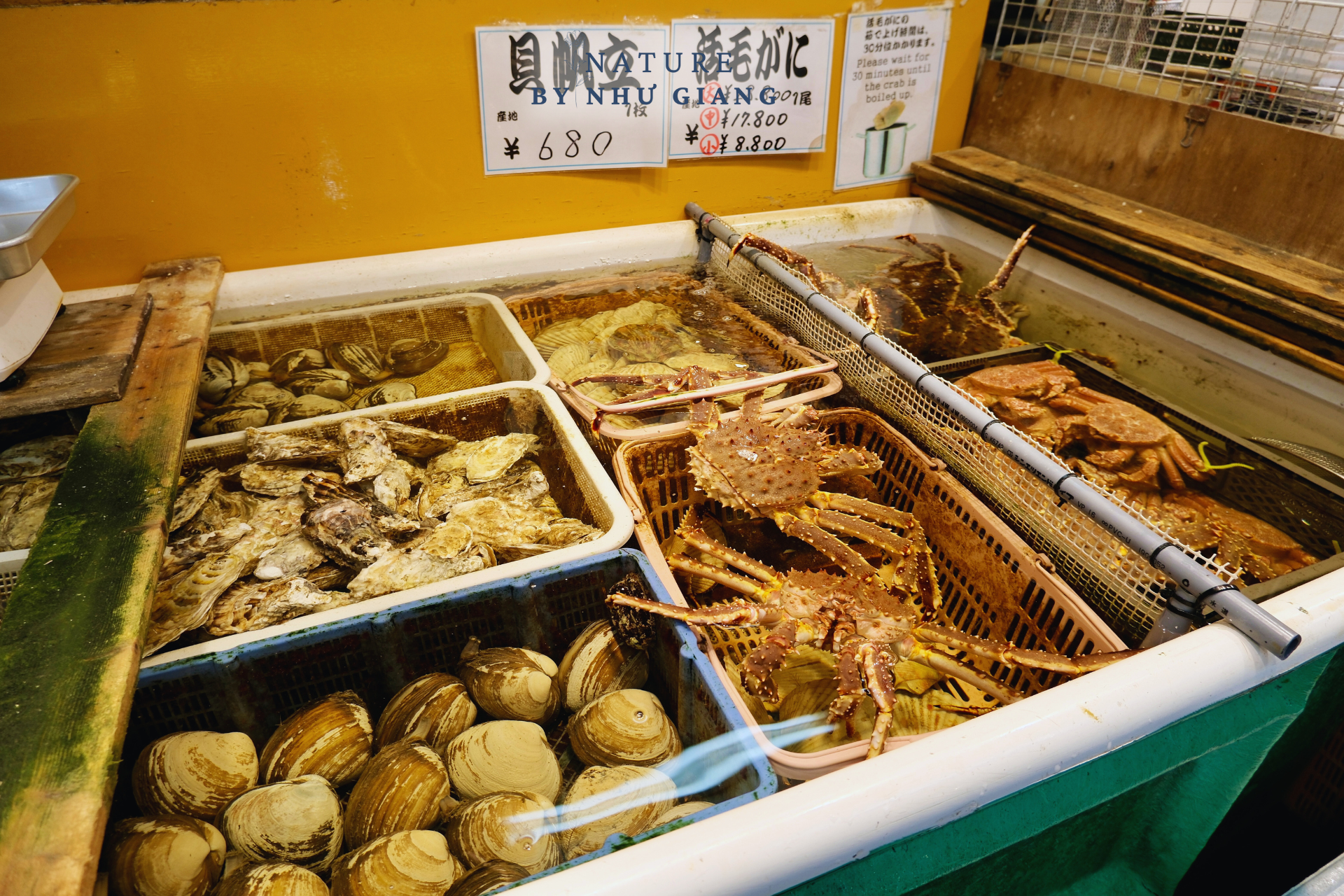 Cua tuyết, dưa lưới và bia – Ẩm thực nhất định phải thử ở Hokkaido 12 Foodtour Hokkaido 13