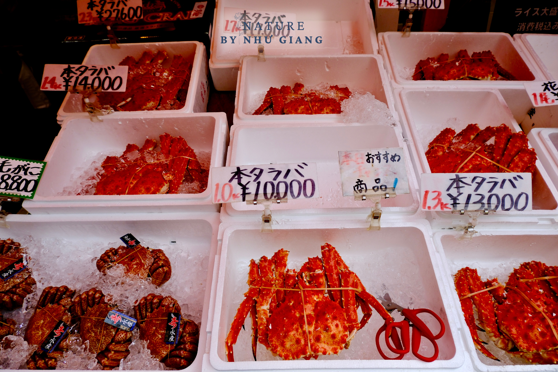 Cua tuyết, dưa lưới và bia – Ẩm thực nhất định phải thử ở Hokkaido 10 Foodtour Hokkaido 14