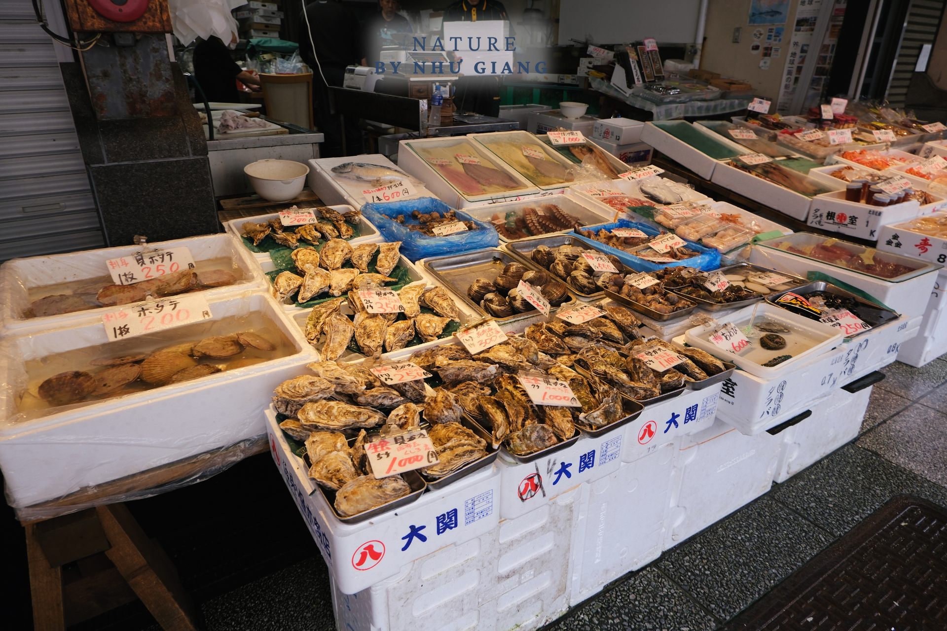 Cua tuyết, dưa lưới và bia – Ẩm thực nhất định phải thử ở Hokkaido 19 Foodtour Hokkaido 6