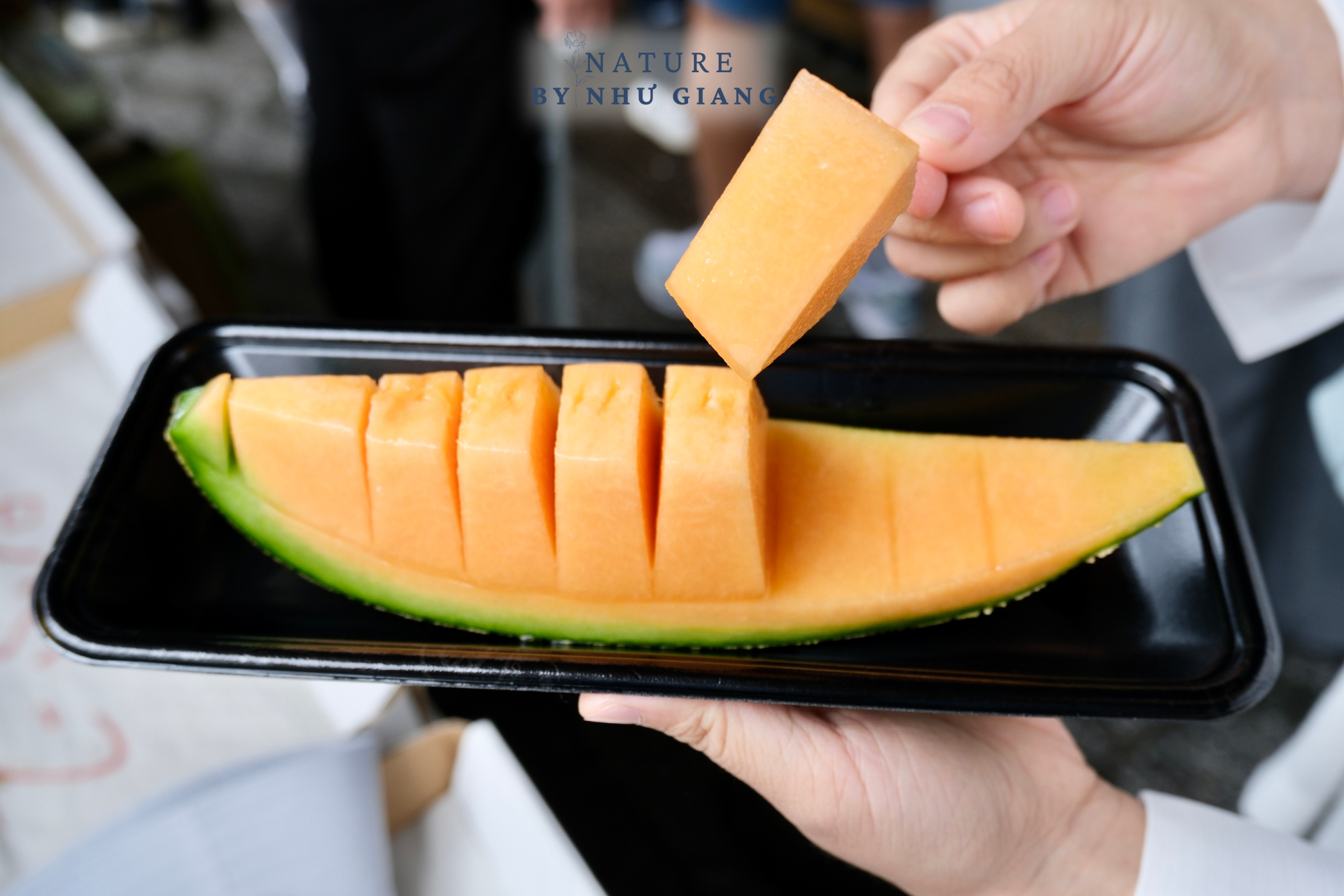 Cua tuyết, dưa lưới và bia – Ẩm thực nhất định phải thử ở Hokkaido 6 Foodtour Hokkaido 8