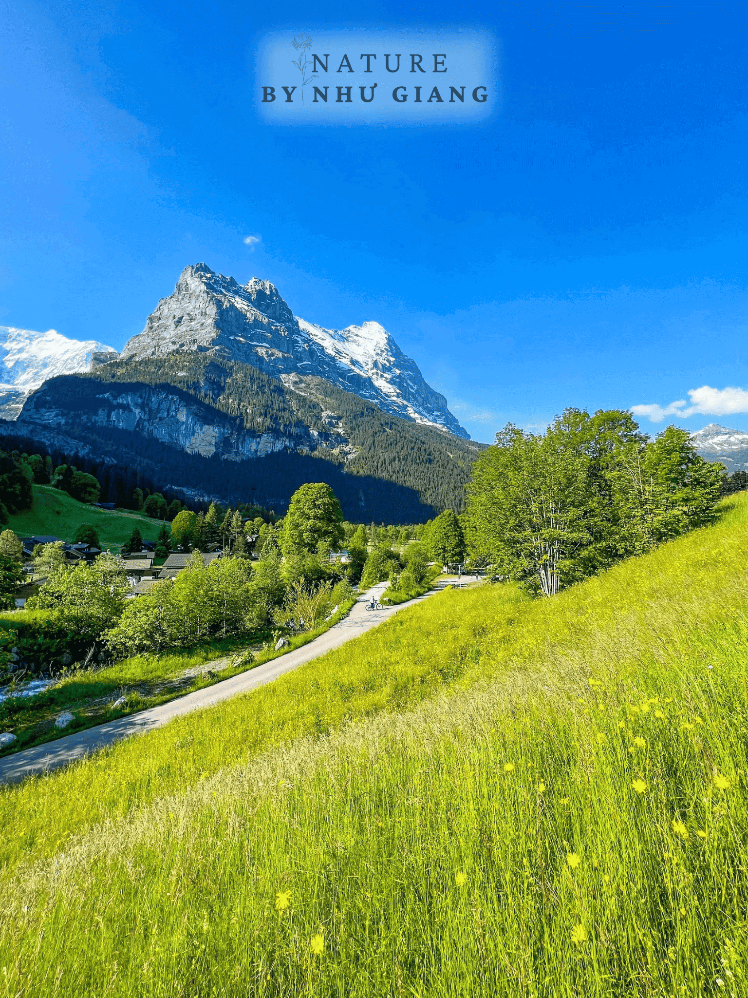 Grindelwald 17