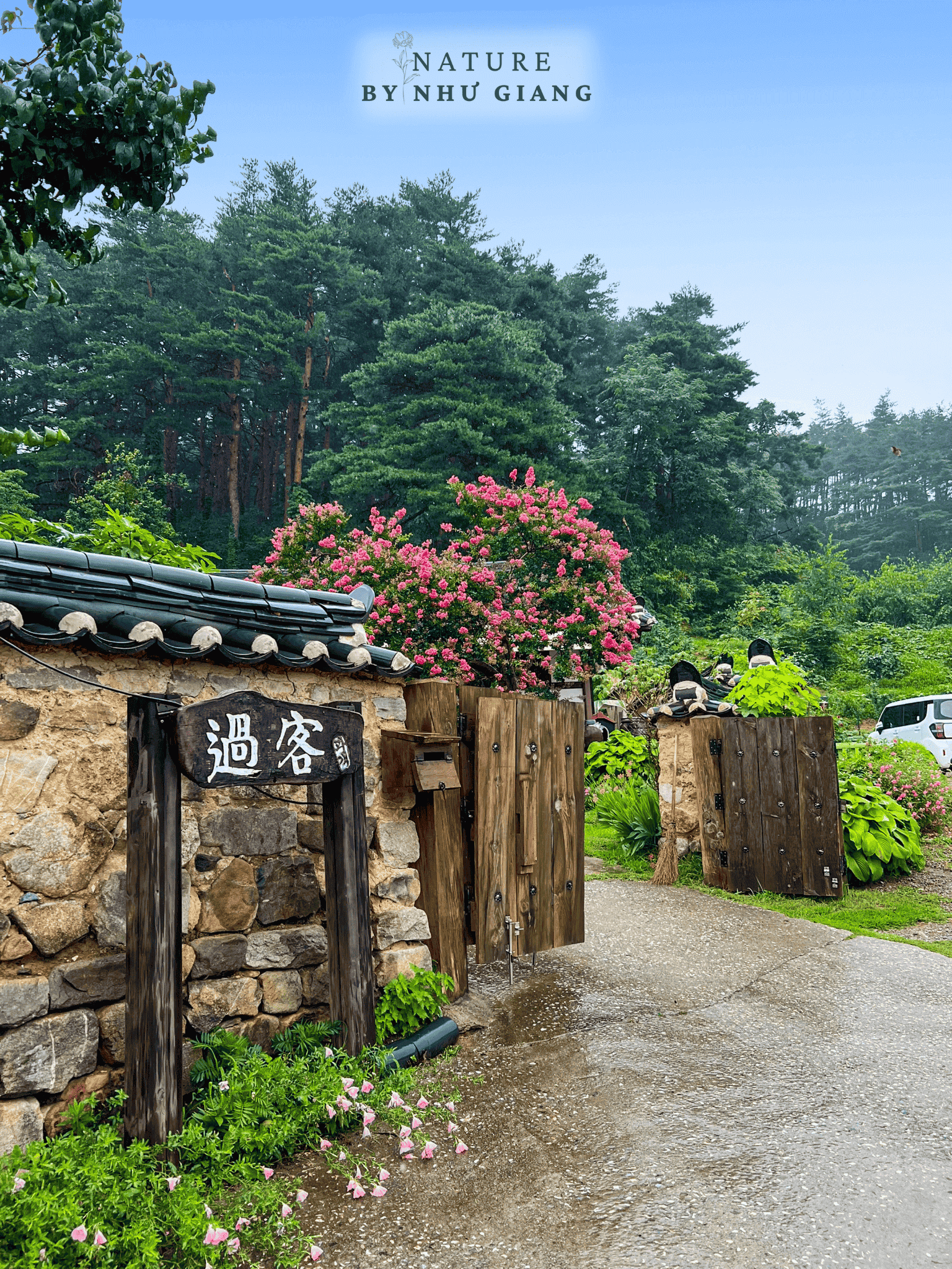 Gwagaek Hanok Cafe 4