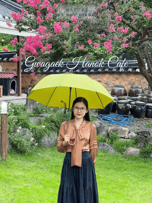 Gwagaek Hanok Cafe 5