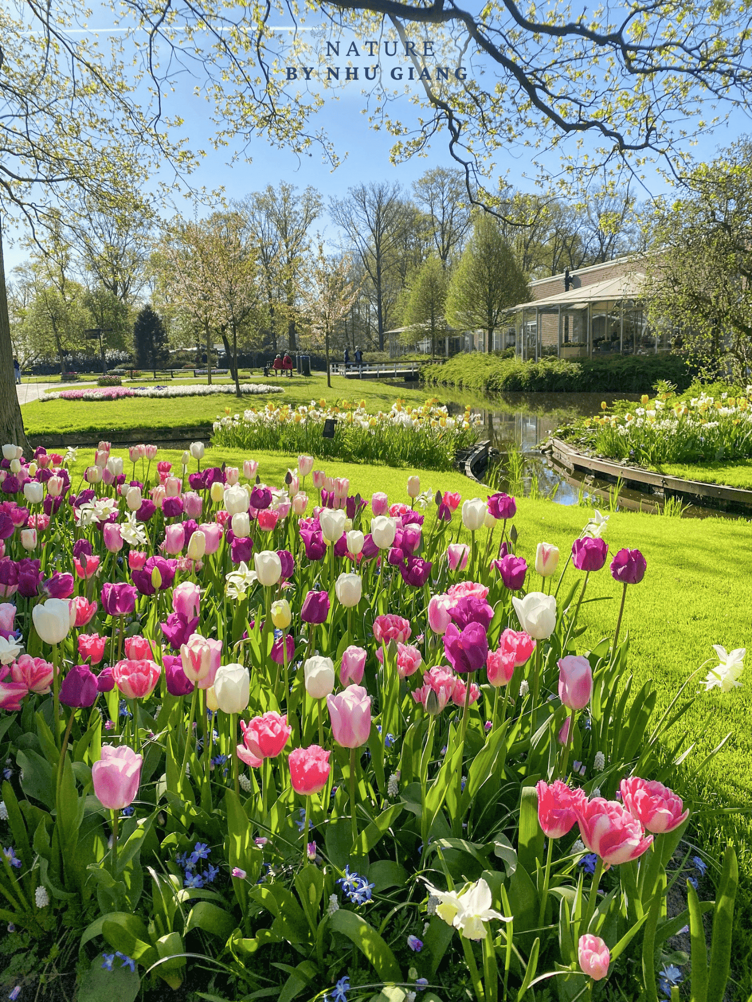 Keukenhof 19