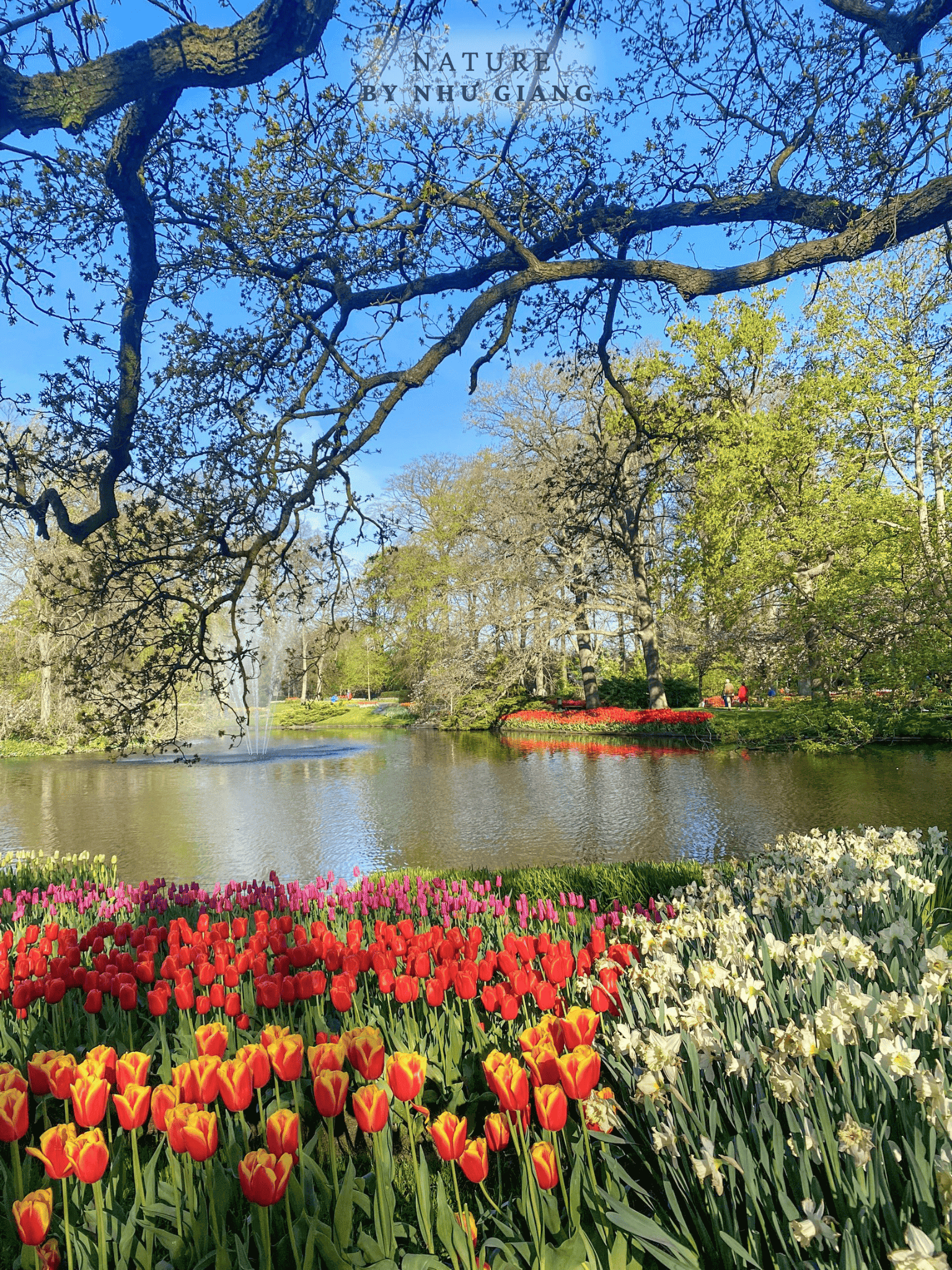 Keukenhof 31