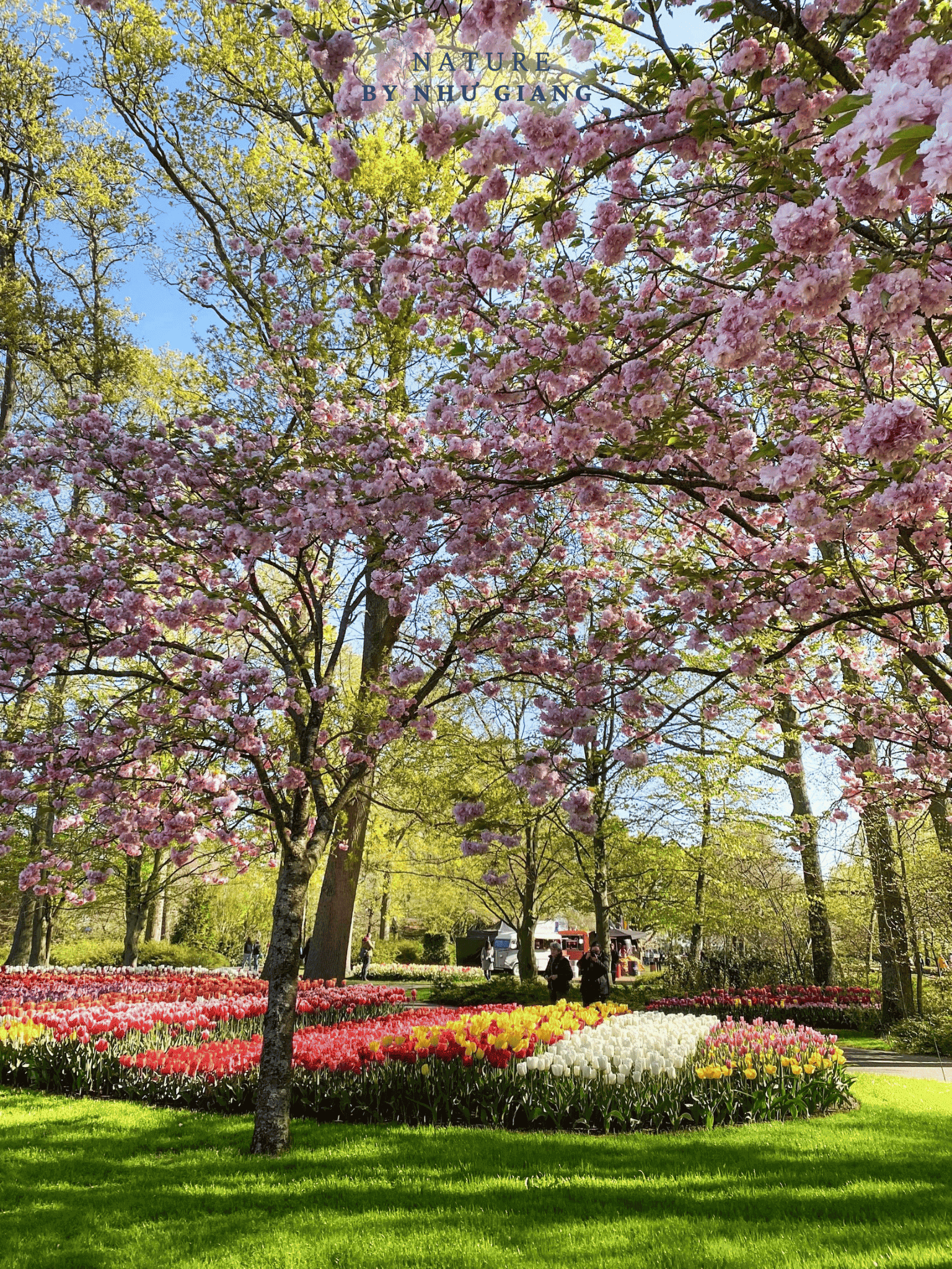 Keukenhof 35