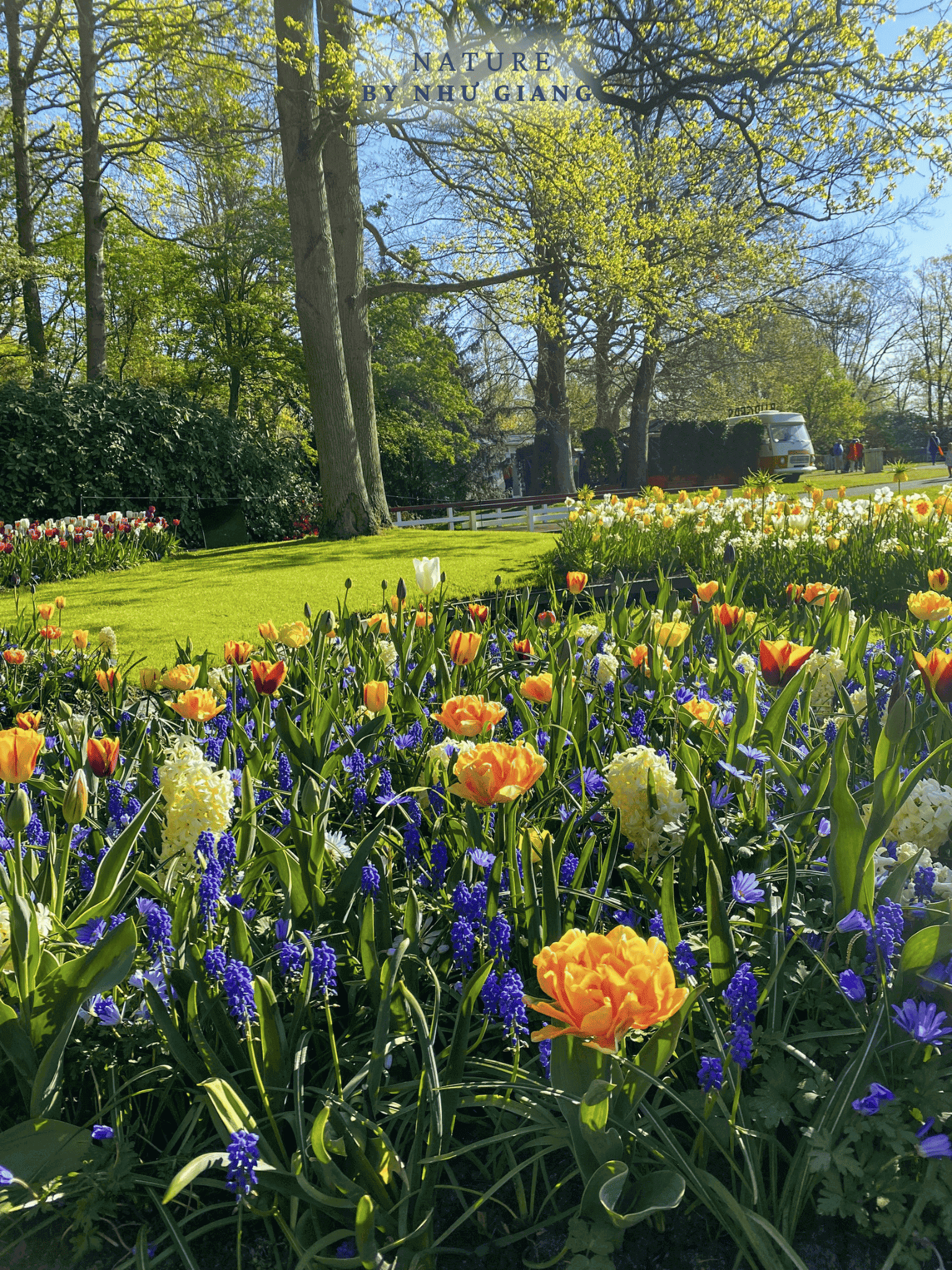 Keukenhof 38