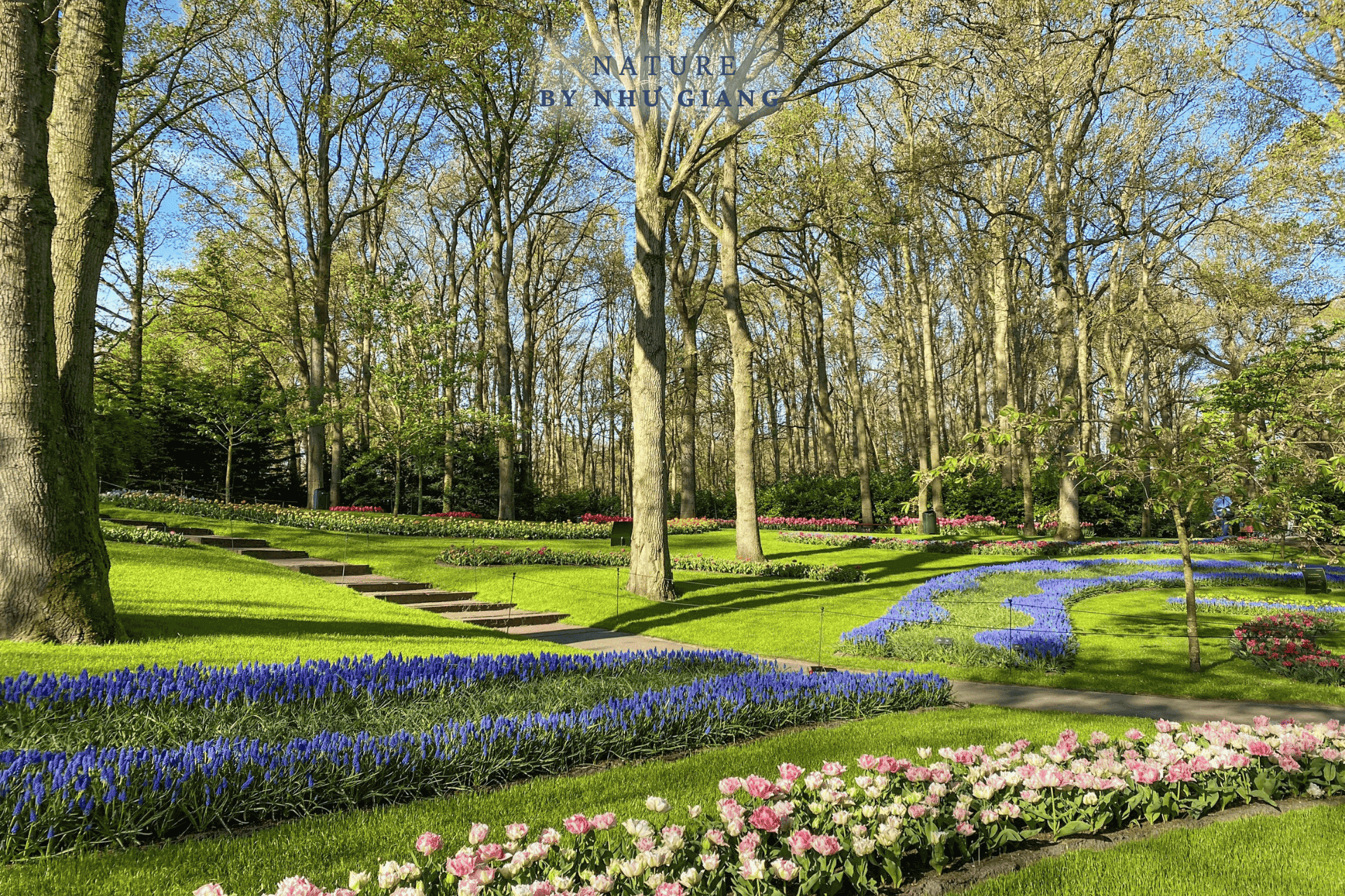 Keukenhof 48