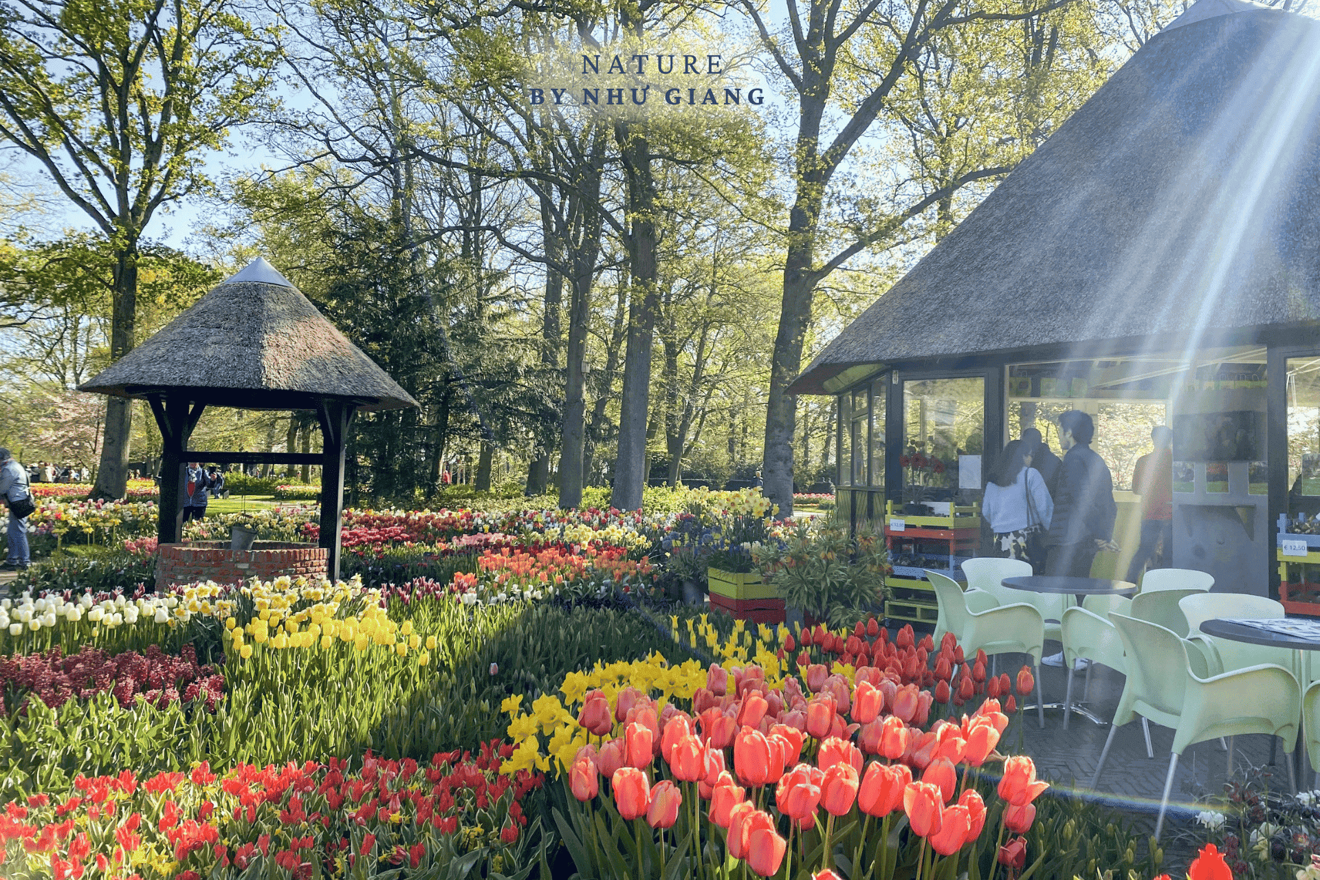 Keukenhof 52