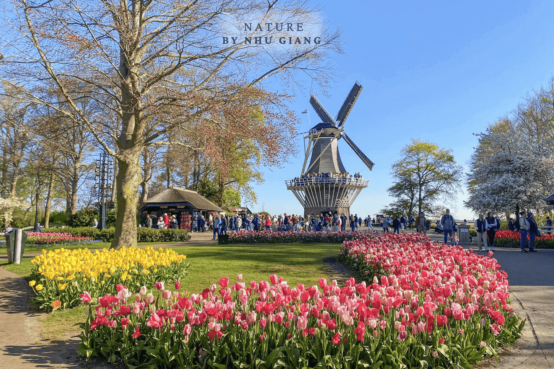 Keukenhof 54