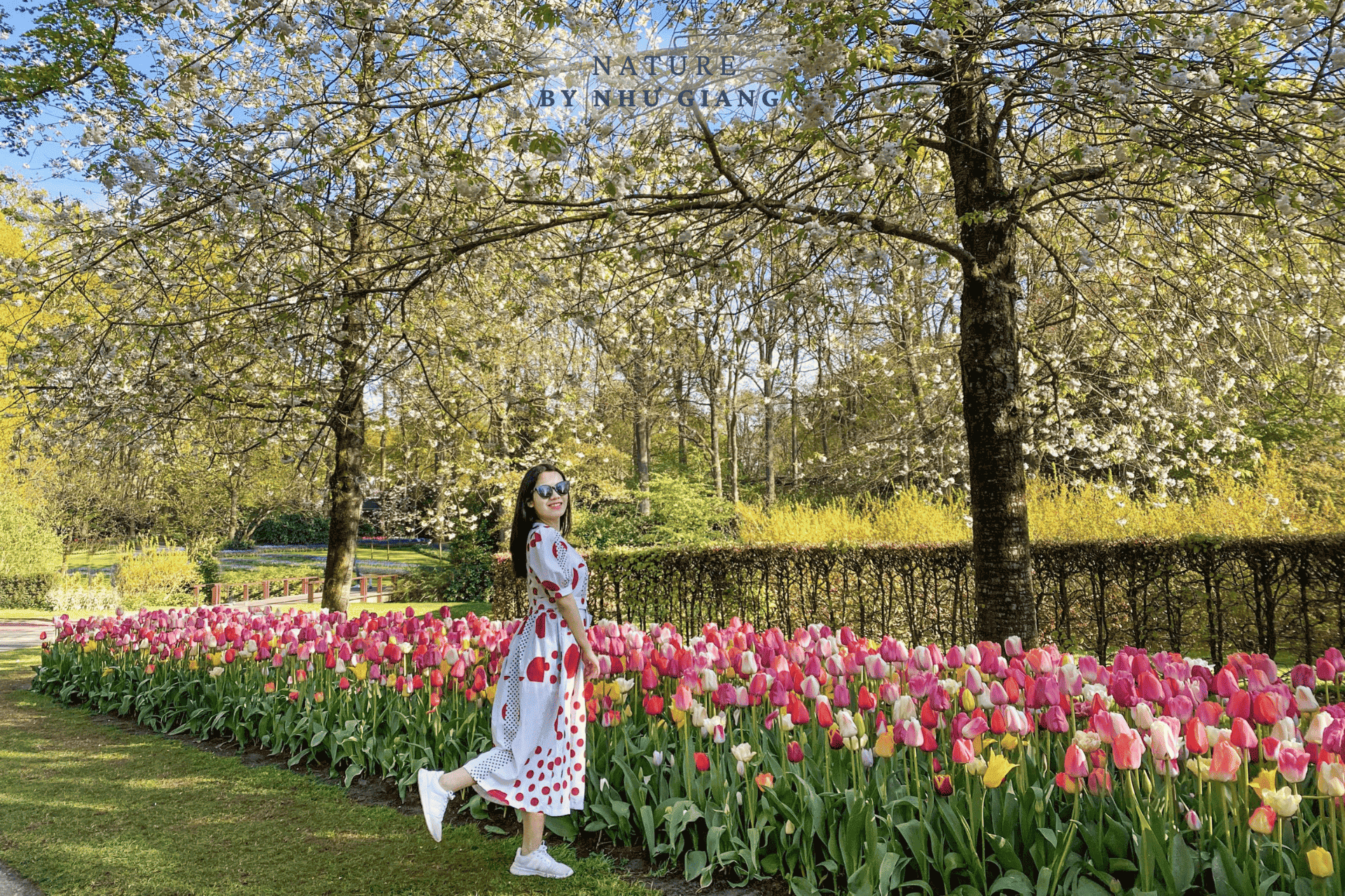 Keukenhof 56