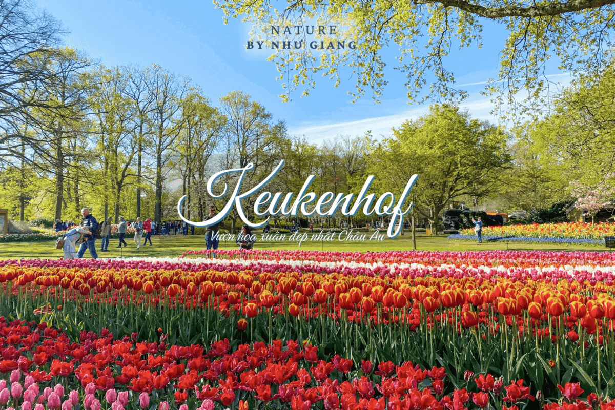 Keukenhof 57