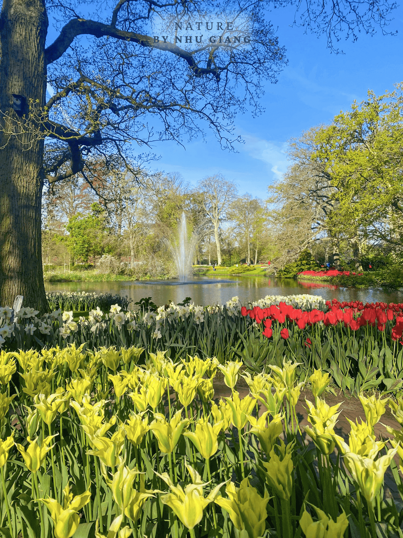 Keukenhof 6