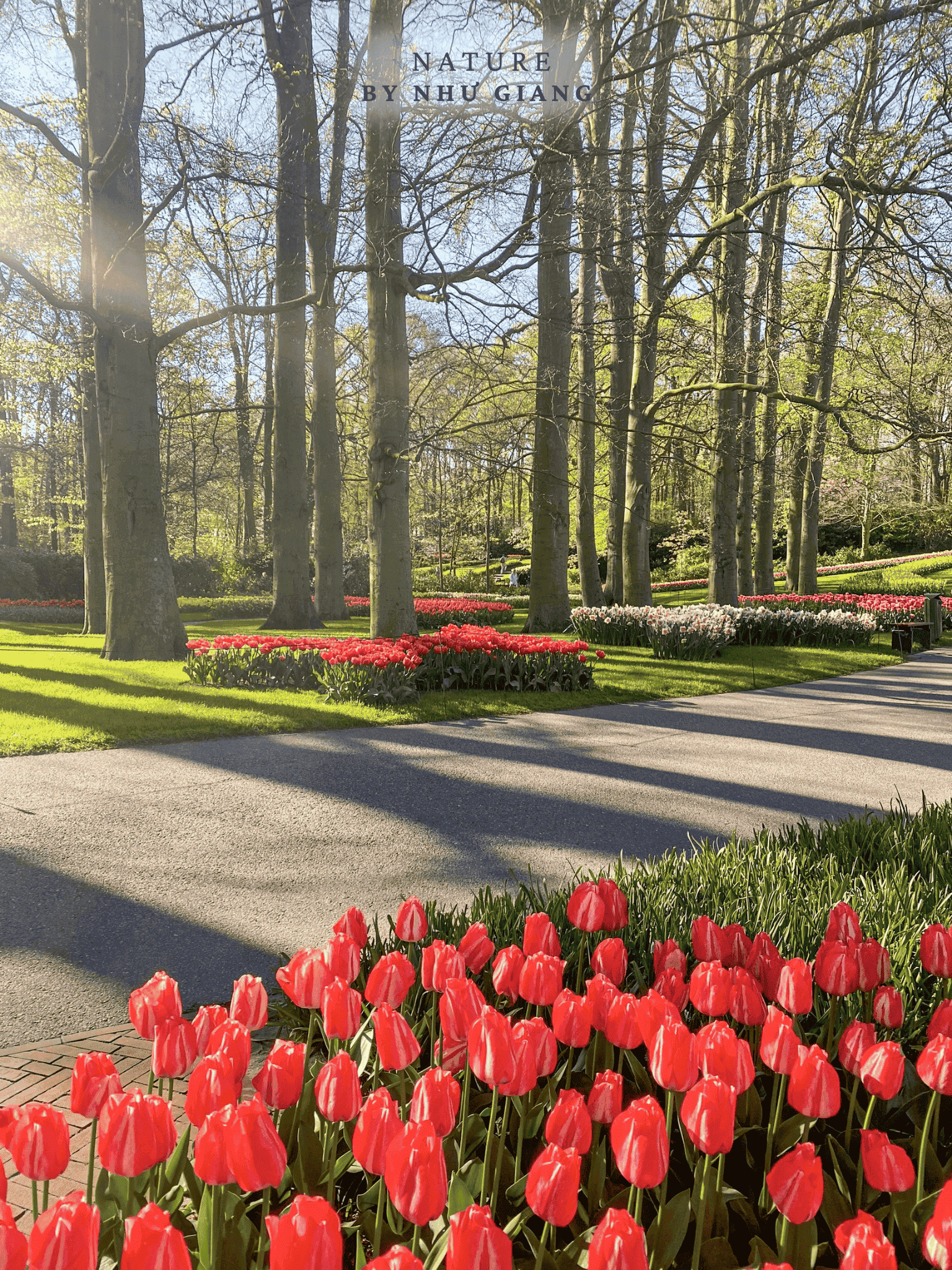 Keukenhof 7