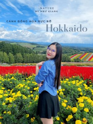 Canh dong hoa Hokkaido 1