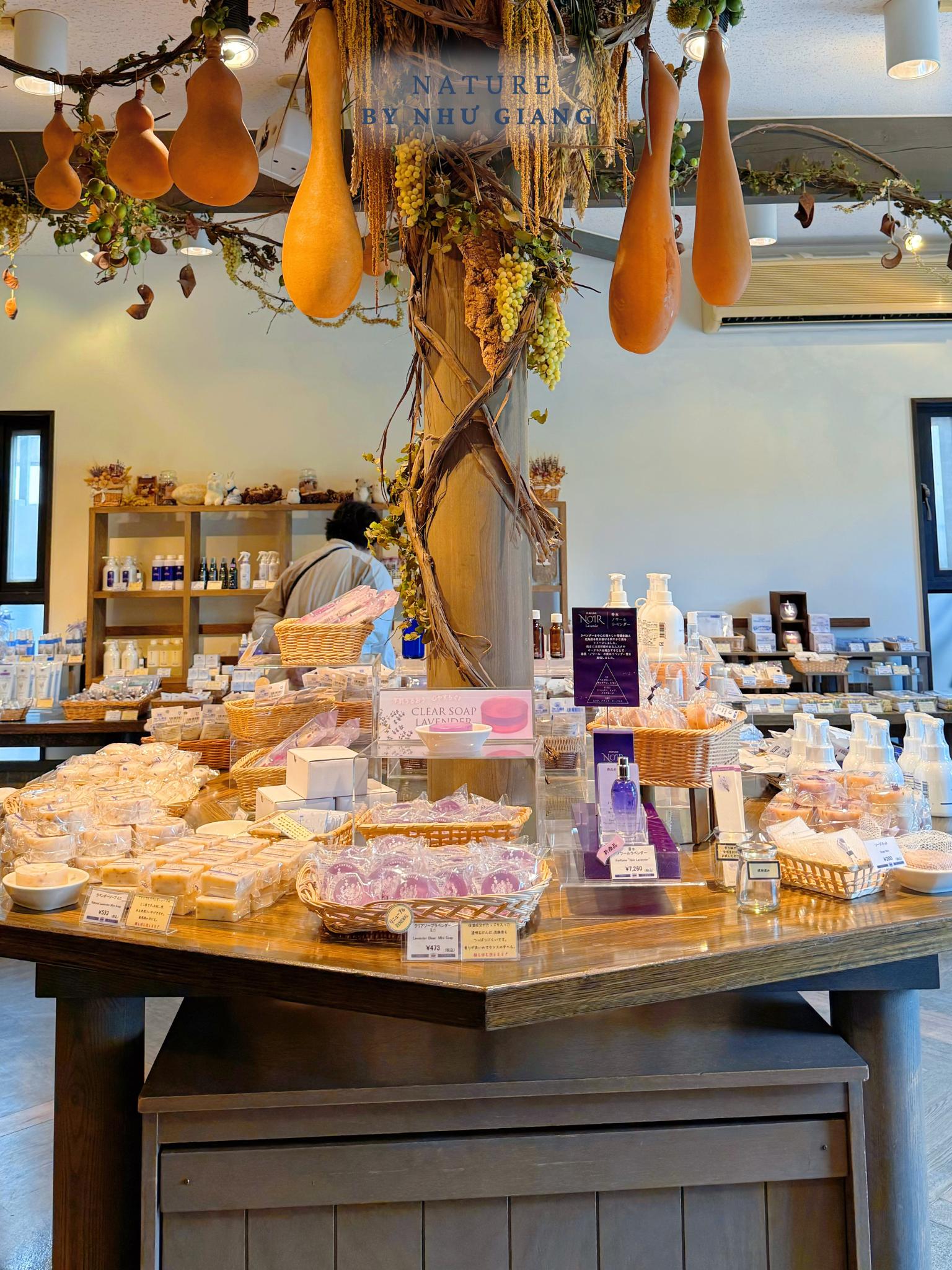 Khám phá các cánh đồng hoa rực rỡ ở Hokkaido 17 Canh dong hoa Hokkaido 17