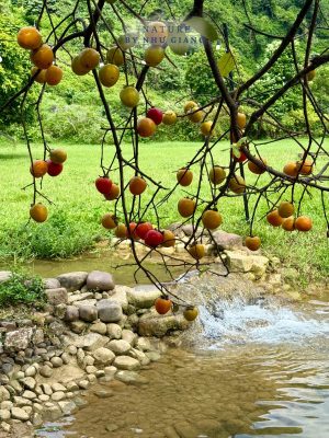 Huu Lien – Lang Son 19