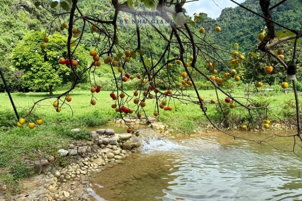 Huu Lien – Lang Son 22