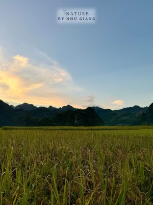 Huu Lien – Lang Son 5