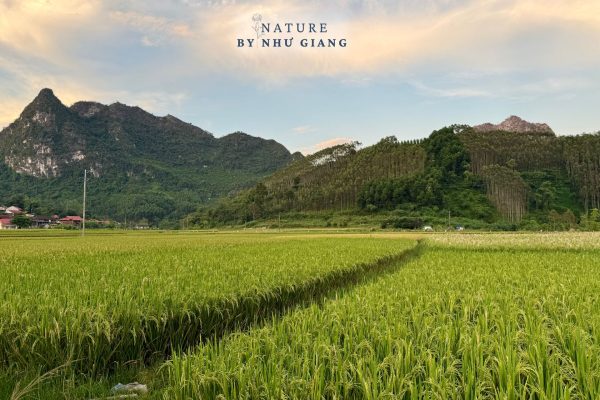 Huu Lien – Lang Son 8