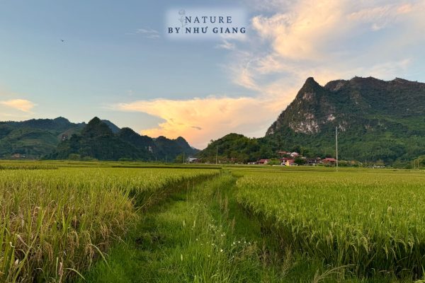 Huu Lien – Lang Son 9