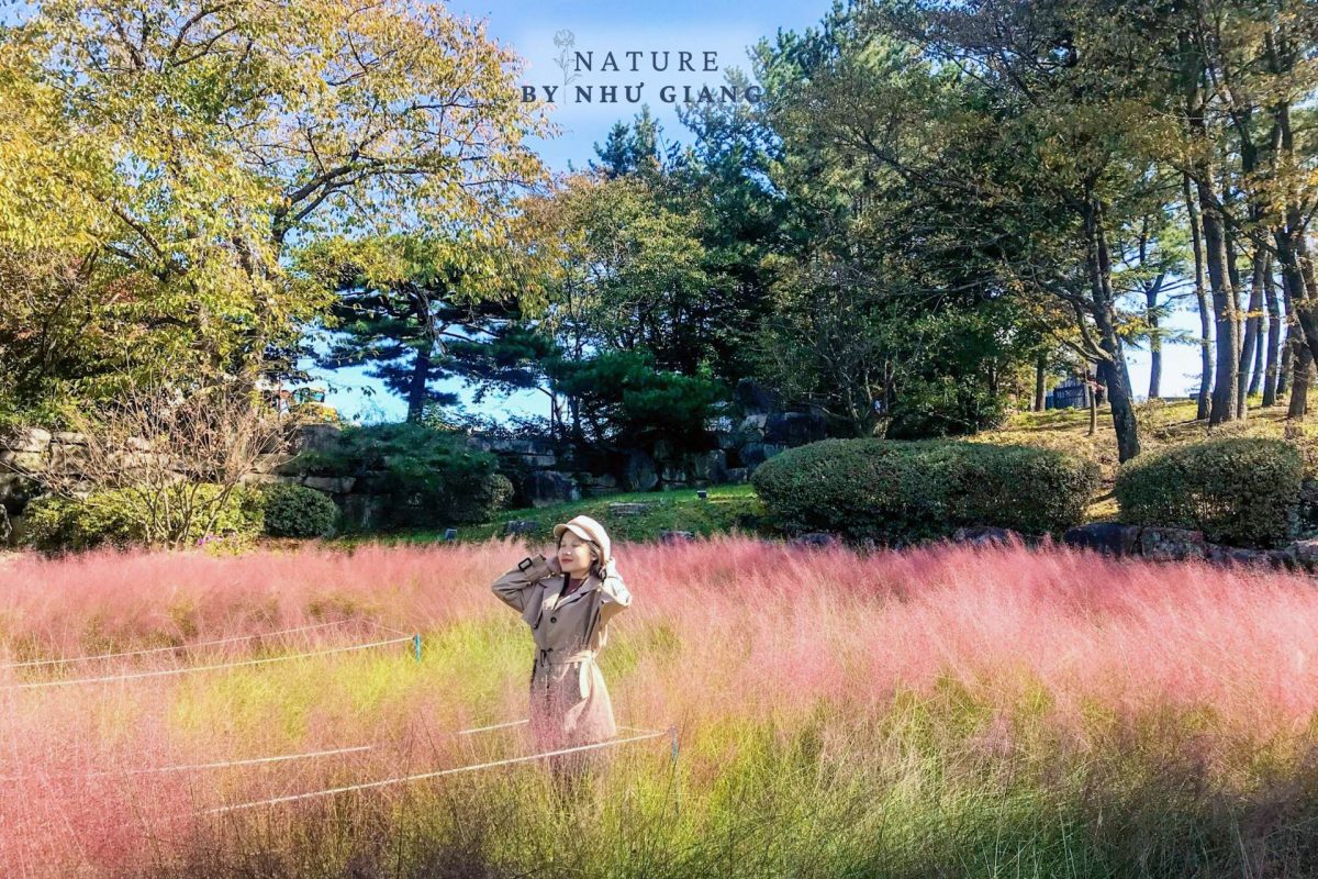 Co hong Cheomyeongdae 10