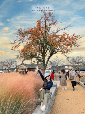 Co hong Cheomyeongdae 3