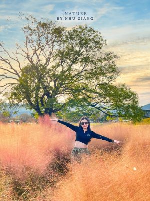 Co hong Cheomyeongdae 4