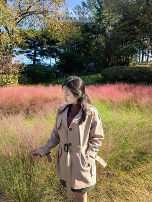 Co hong Cheomyeongdae 6