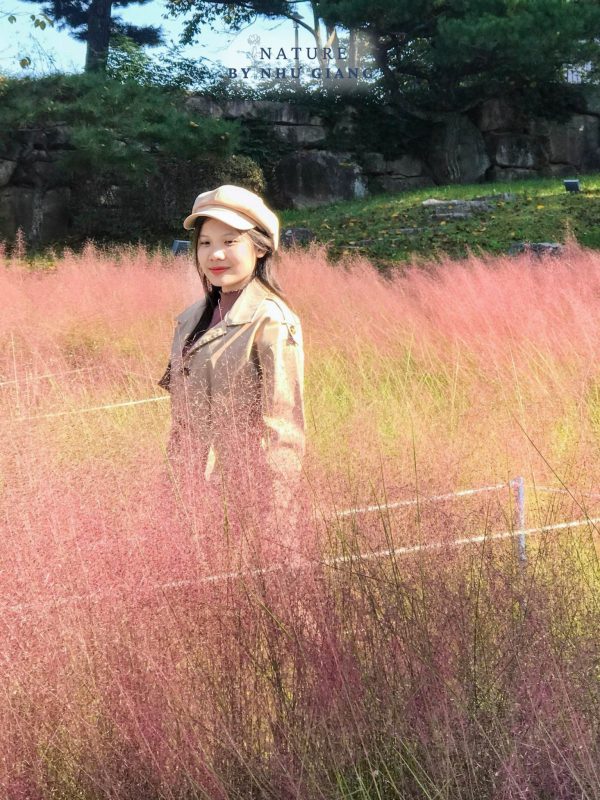 Co hong Cheomyeongdae 7