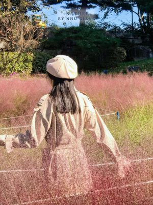 Co hong Cheomyeongdae 8