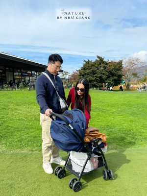 Nghi duong Karuizawa 11