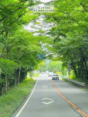 Nghi duong Karuizawa 16