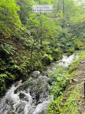 Nghi duong Karuizawa 17