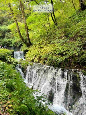 Nghi duong Karuizawa 19