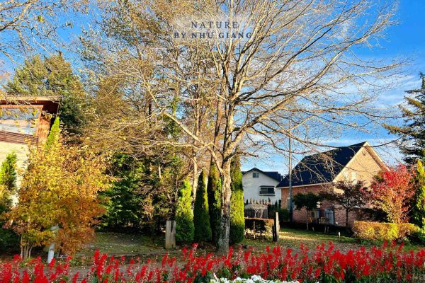 Nghi duong Karuizawa 21