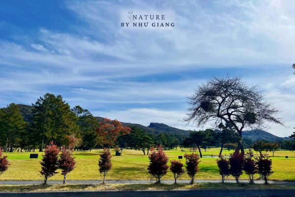 Nghi duong Karuizawa 22