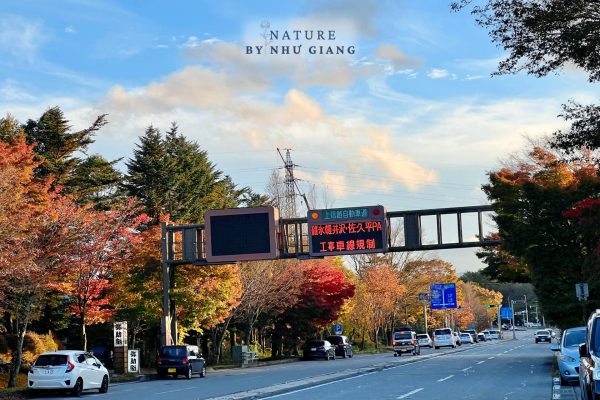 Nghi duong Karuizawa 25