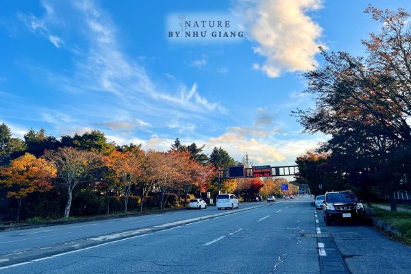 Nghi duong Karuizawa 28